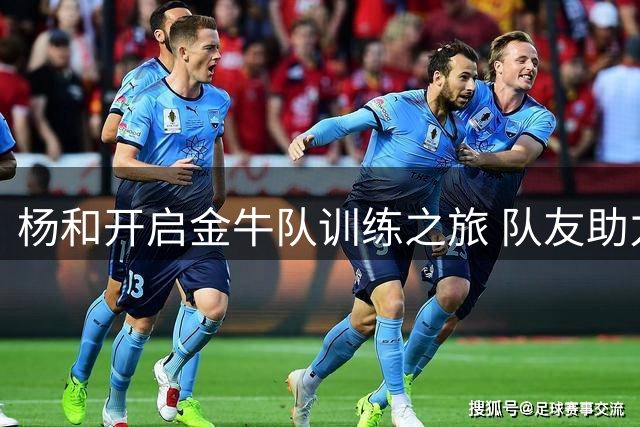 杨和开启金牛队训练之旅 队友助力加速融入球队体系