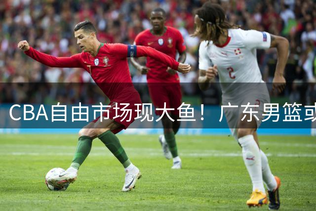 CBA自由市场现大鱼！广东男篮或重金追逐前山东内线悍将